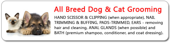 The Pet Salon in Margate, New Jersey grooms all breeds of dogs and cats.