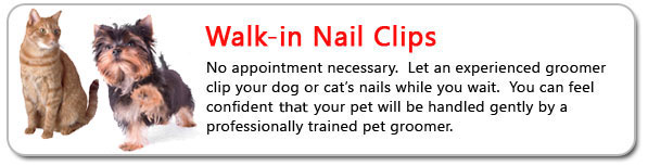The Pet Salon in Margate, New Jersey will clip your pets nails while you wait.